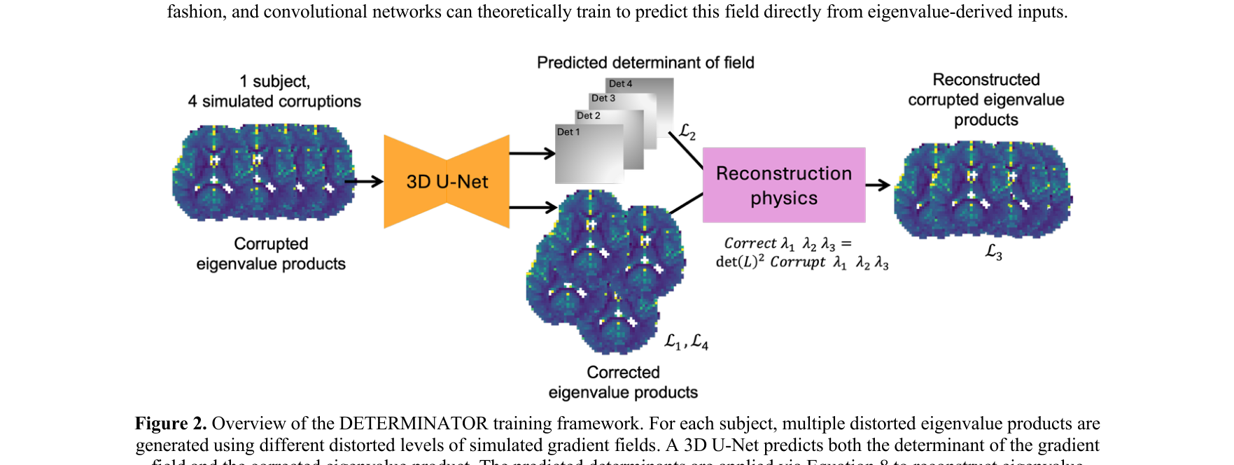 DETERMINATOR framework overview