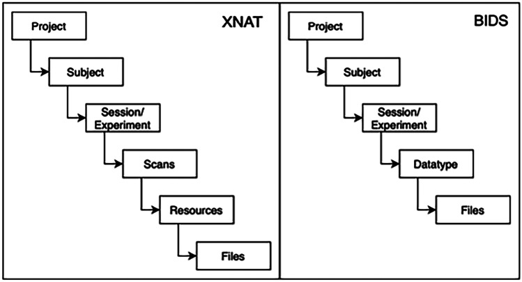 XNAT BIDS export figure